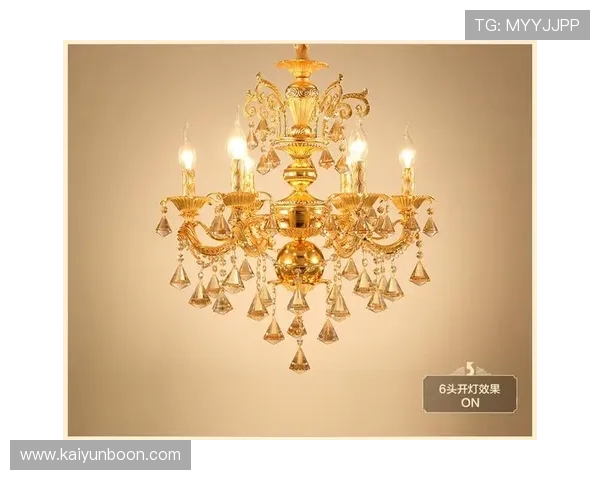 新手必看：开云官方网页版登录入口使用说明与常见问题解答